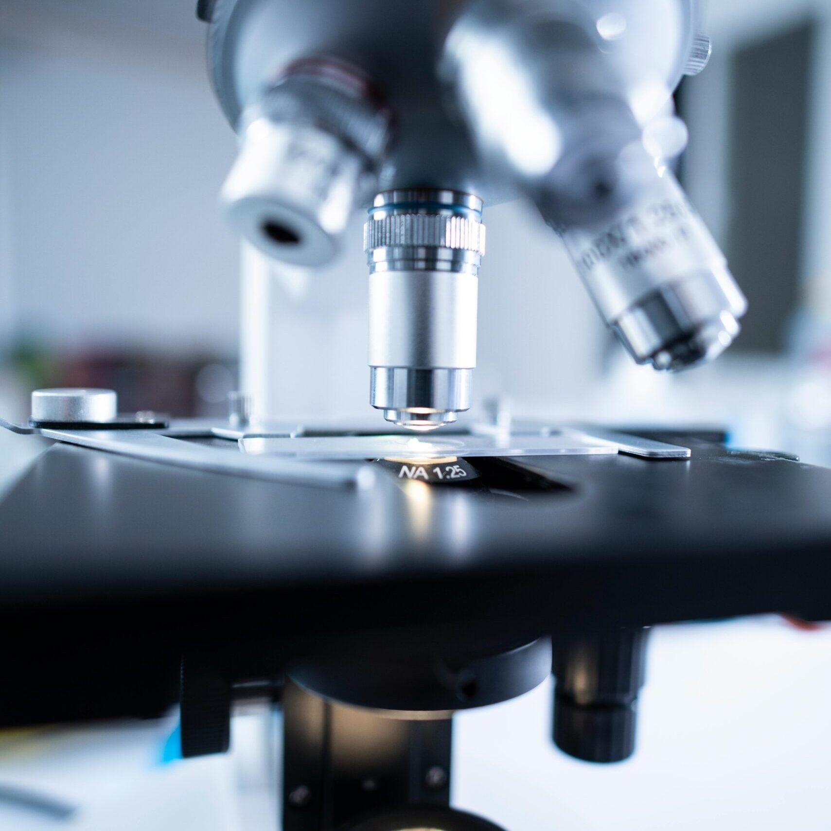 pexels-chokniti-khongchum-1197604-2280547