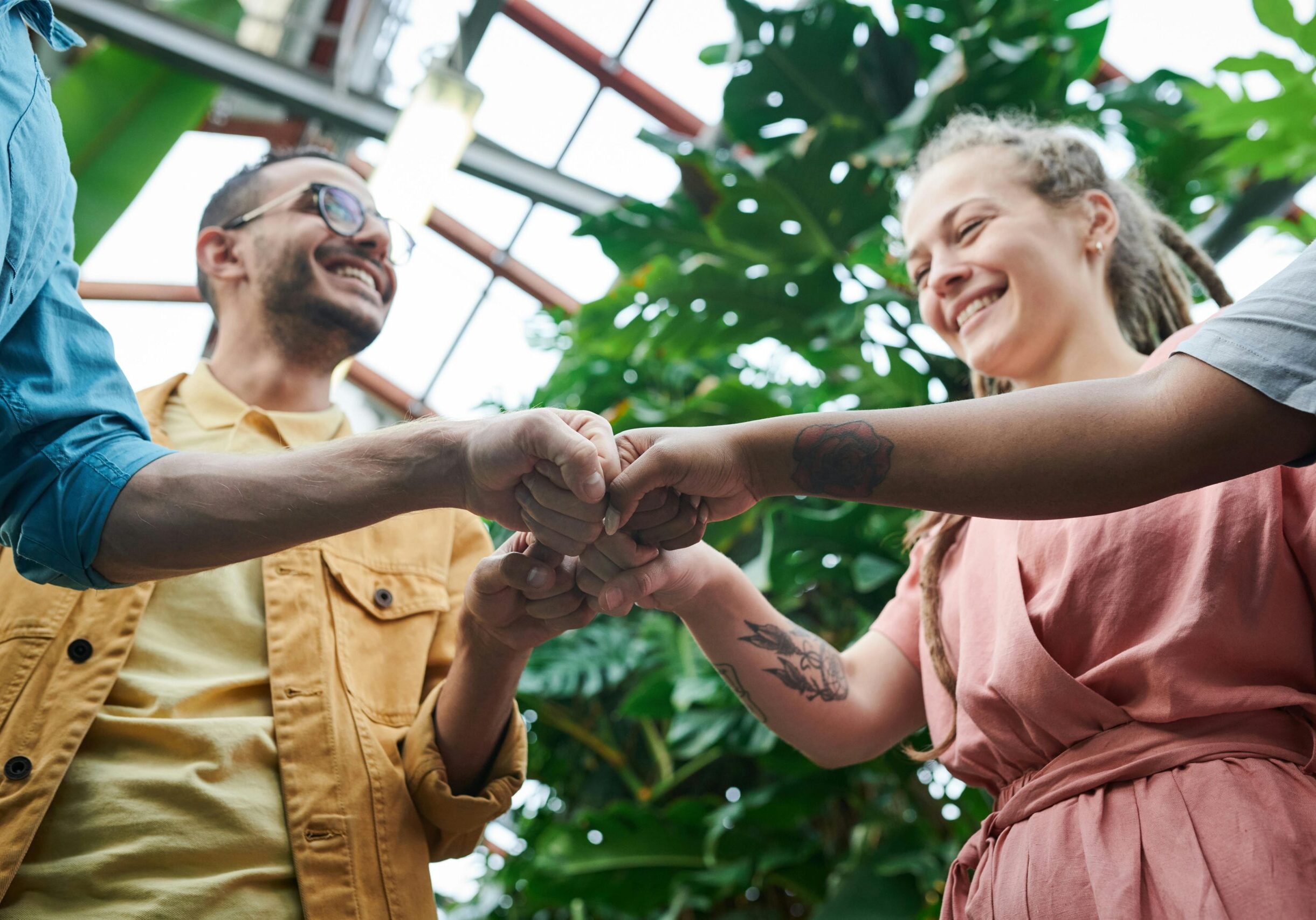 pexels-fauxels-3228684